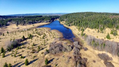 ENS - L'Étang du Brachet