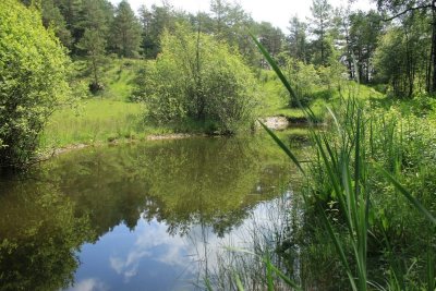 ENS - La Motte du Château