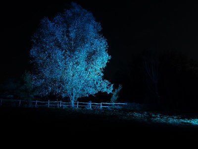 Les Ballades Féériques