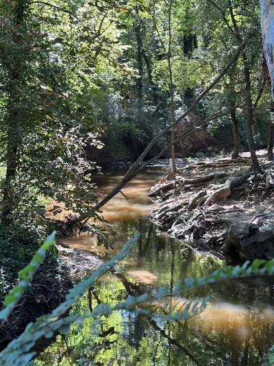 Circuit de La Luynes