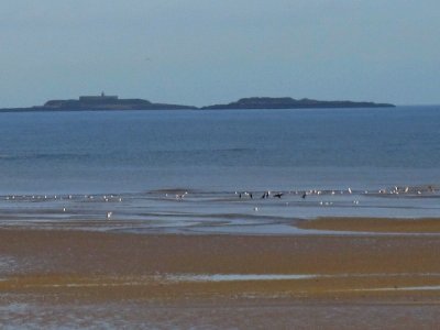 Plage de Saint-Marcouf