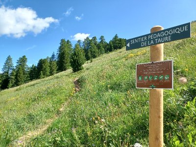 Sentier pédagogique de la Taure dans la réserve biologique du bois des Ayes