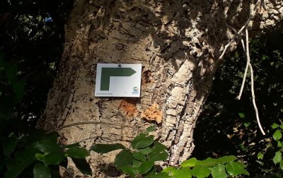 Sentier forestier Ondres 7 km - kaki