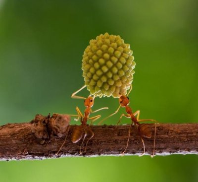 Randonnée "Causse et vallée du Lumensonesque"