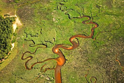 Réserve naturelle nationale des Prés salés d'Arès - Lège Cap Ferret