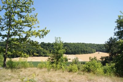 La Cavée des Vaches