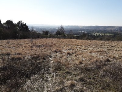 La Côte de Nantilly