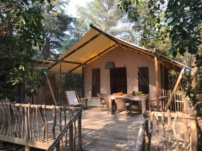 Les Anes Du Mas Bamboche