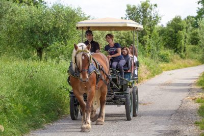 Centre Equestre La Fenière - Les Mées