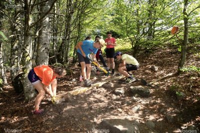 Sentier de la scierie