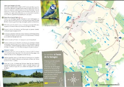 Circuit pédestre 18 de la saule - 9,9 km