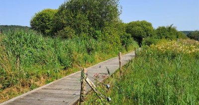 Marais de Lay St Rémy et Pagny-sur-Meuse