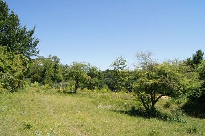 La cavée des vaches