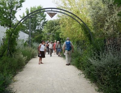 Au fil de l'ombre - deux parcours dans les faubourgs d'Avignon