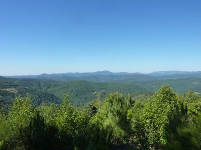 CINÉCO : LE SECRET DES MÉSANGES