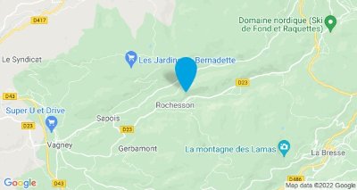 La fôret d’Éboulis de Battion