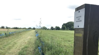 SENTIER DES PRAIRIES
