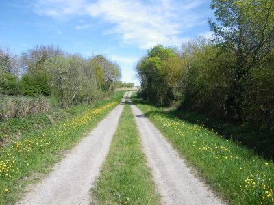 BOUCLE CIRCUIT ENTRE TERRES ET VIGNES