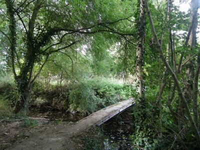 BOUCLE CIRCUIT DES COTEAUX