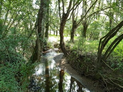 BOUCLE CIRCUIT DU MOULIN BARBET