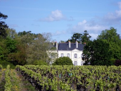 BOUCLE CIRCUIT DU CHÂTEAU