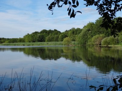 Circuit de l'étang de la Provostière