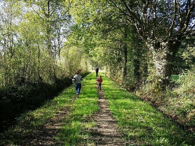 LES CHEMINS CREUX CASSON
