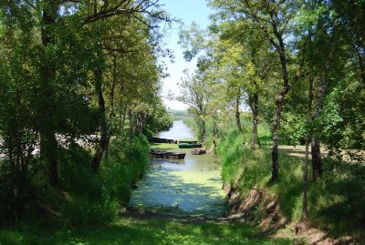 Boucle circuit de l'Agrion de Mercure