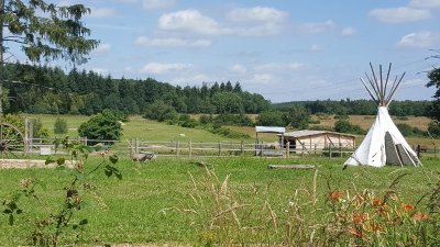 Cow boy legend ranch