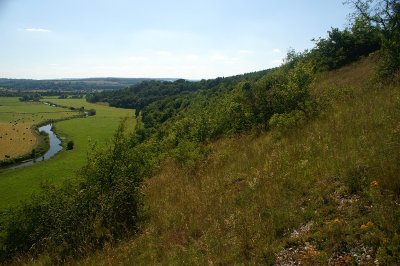 Le coteau de la riviere à Autigny-la-Tour