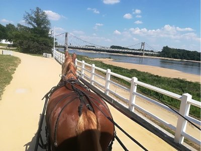Les Attelages de l'Erdre