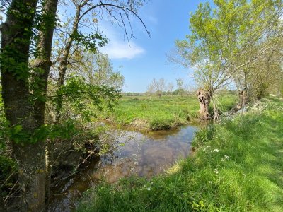 SENTIER DU MARAIS DE LA ROCHE