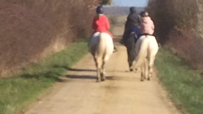 Les écuries des Quatre Vents