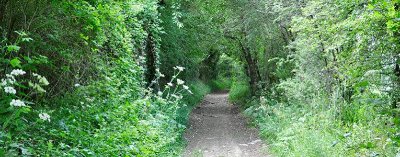 SENTIER DU TOUR DE L'ÉTANG DE LA HUNAUDIÈRE