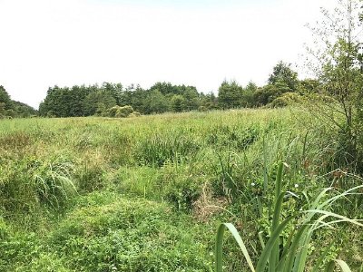 CIRCUIT DES MARAIS DE BLANCHE NOE