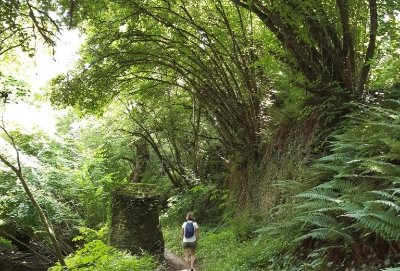 BOUCLE CIRCUIT DE LA FLEURANCELLERIE