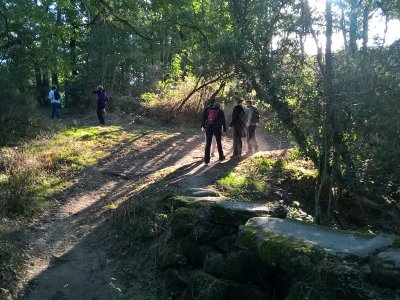 BOUCLE CIRCUIT DES ROCHERS