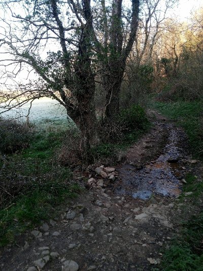 SENTIER DES HAUTS DU SILLON