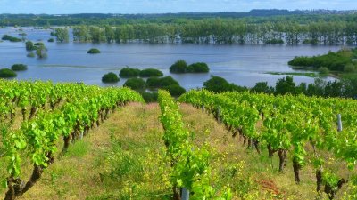 BOUCLE CIRCUIT DES MOULINS ET DE L'OUEN