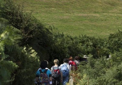 SENTIER ETANGS ET CALVAIRES