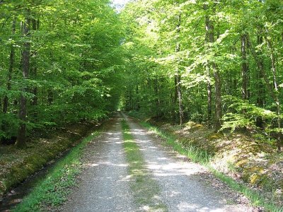 CIRCUIT DU CANAL À LA FORÊT