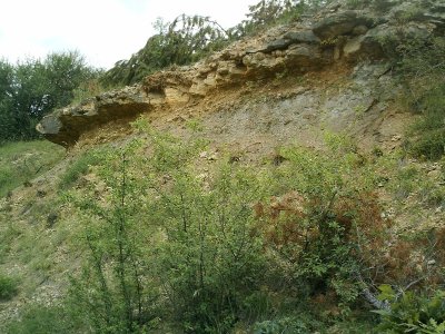 Pelouse calcaire d'Aingeray