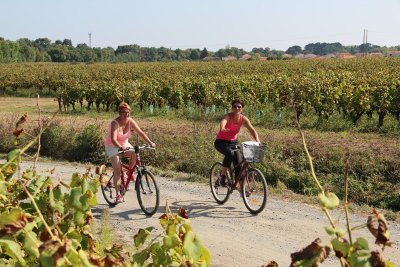 Boucle circuit Vignoble à Vélo entre villes et terroirs