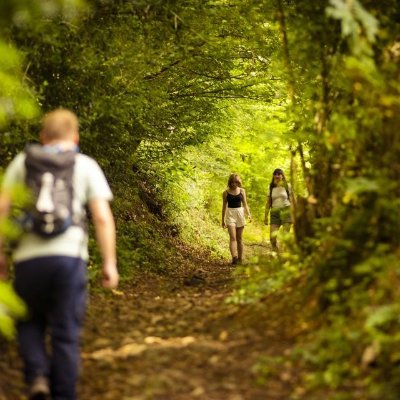 PANORAMA AU DELA DE LA CRETE - N°39