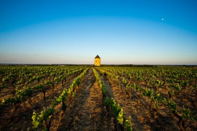 BOUCLE CIRCUIT LES MOULINS