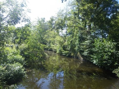 BOUCLE CIRCUIT DES VIGNES