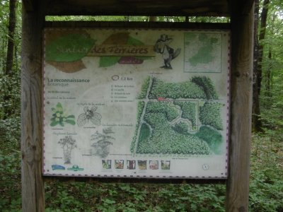 CIRCUIT "SENTIER DES CHÊTELONS"