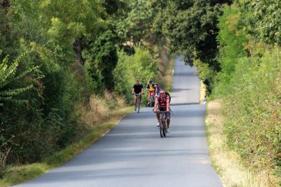 Boucle circuit Vignoble à Vélo entre Logne et Sanguèze