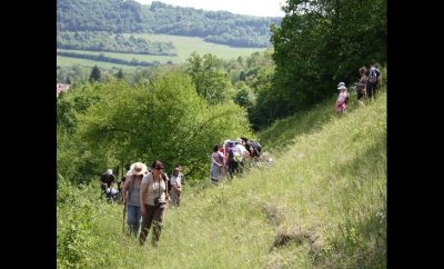 Pelouses Calcaires de Waville