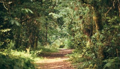 La Rando des Potiers